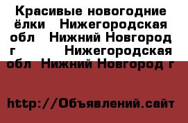 Красивые новогодние ёлки - Нижегородская обл., Нижний Новгород г.  »    . Нижегородская обл.,Нижний Новгород г.